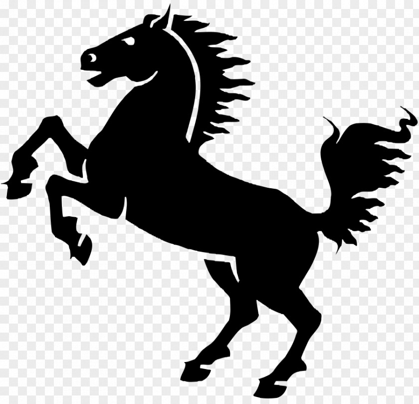 Mustang Friesian Horse Foal Mare Clip Art PNG