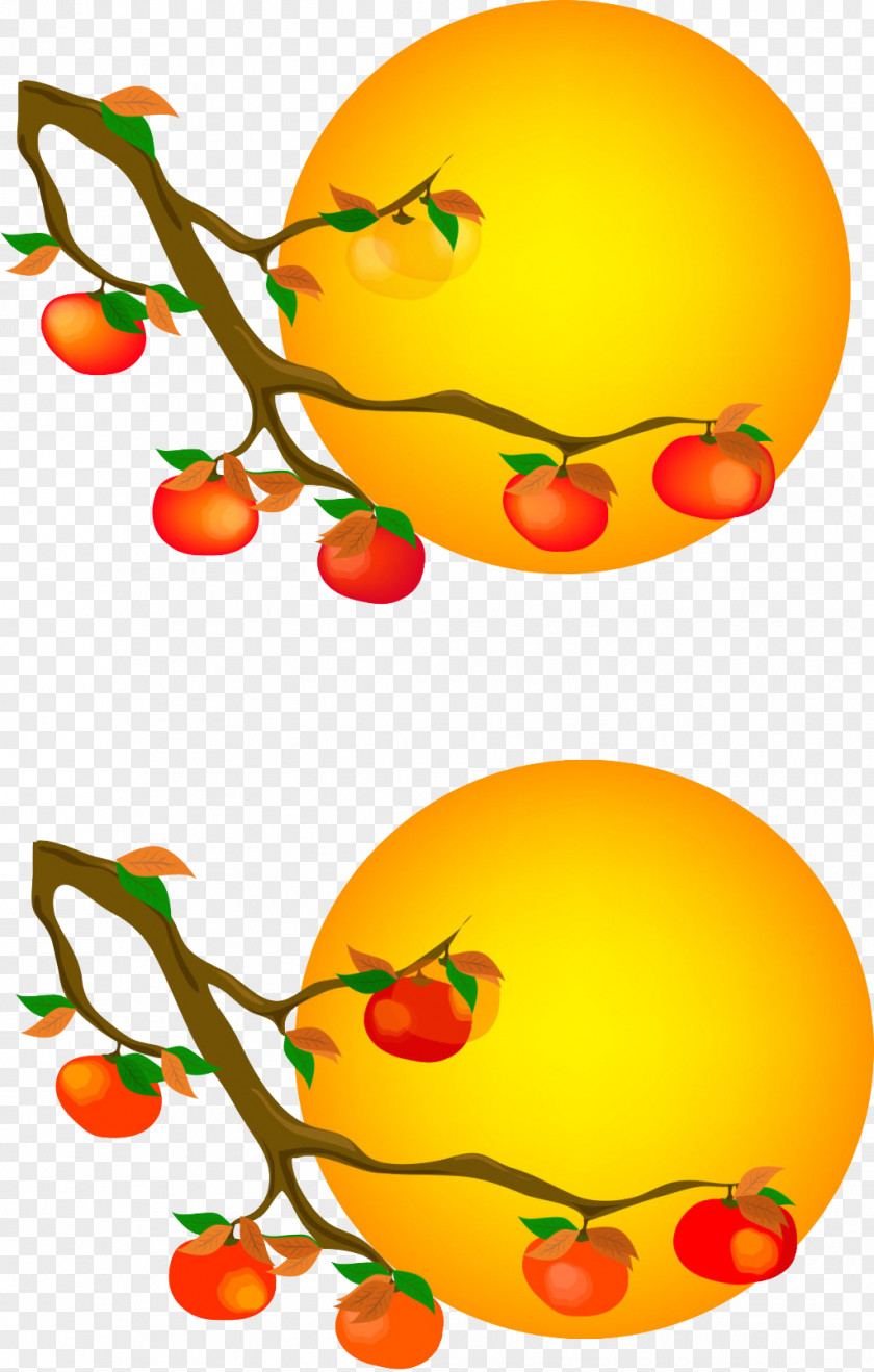 Persimmon Poster Circle PNG