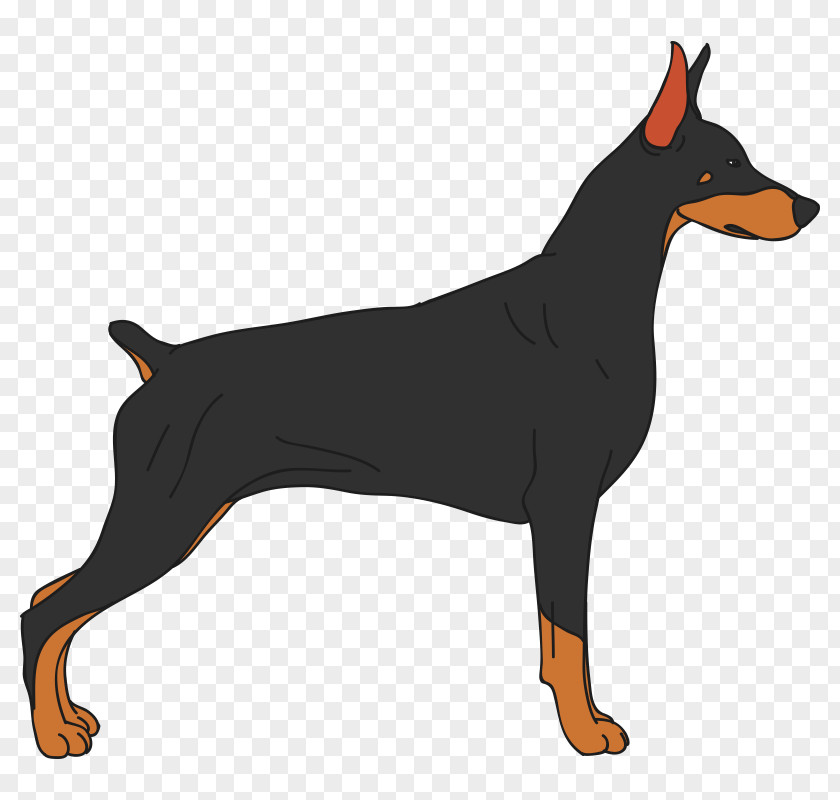 Puppy Dobermann Miniature Pinscher Cat PNG