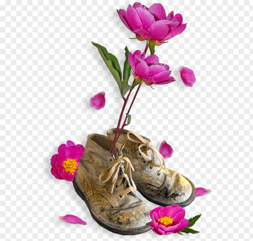 The Flowers On Shoes Floral Design Shoe Clip Art PNG