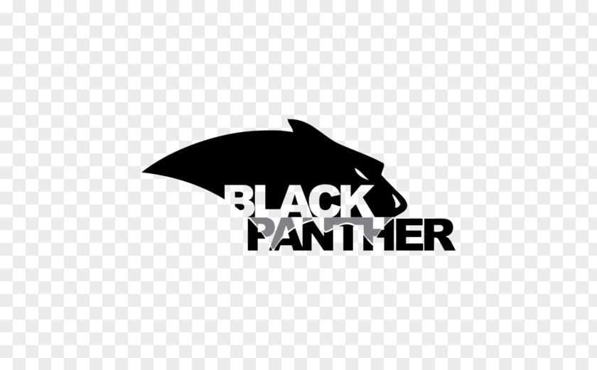 Blak Panther Black Iron Man PNG