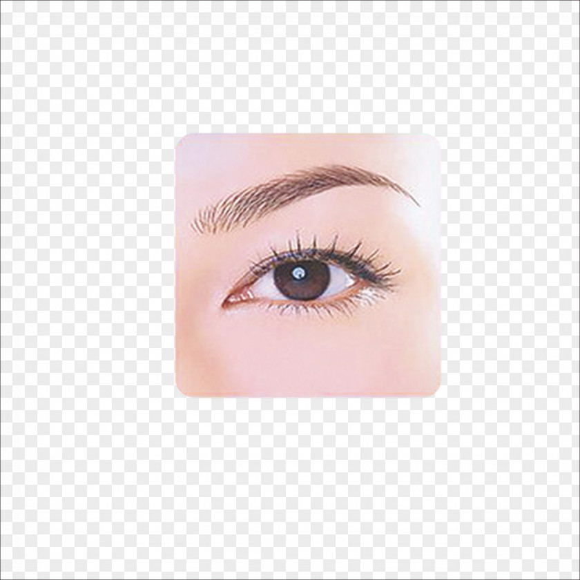 Eyebrow Eyelash Extensions Lip Cheek Make-up PNG