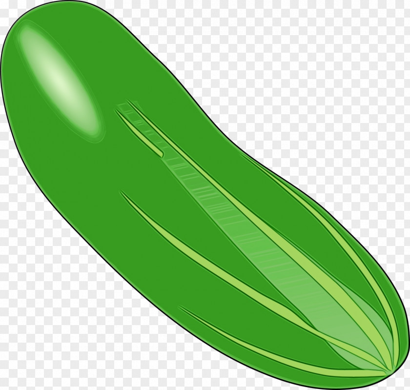 Vegetarian Food Cucumber Green Leaf Watercolor PNG