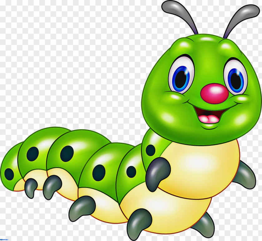 Caterpillar Insect Cartoon Green Larva PNG