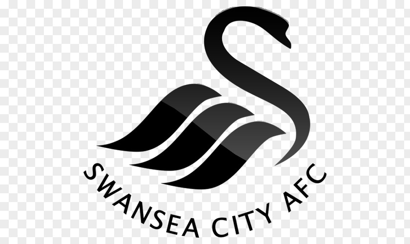 Premier League Swansea City A.F.C. Under-23s Derby County F.C. Manchester PNG
