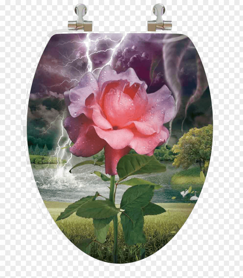 Toilet Garden Roses & Bidet Seats Wood PNG