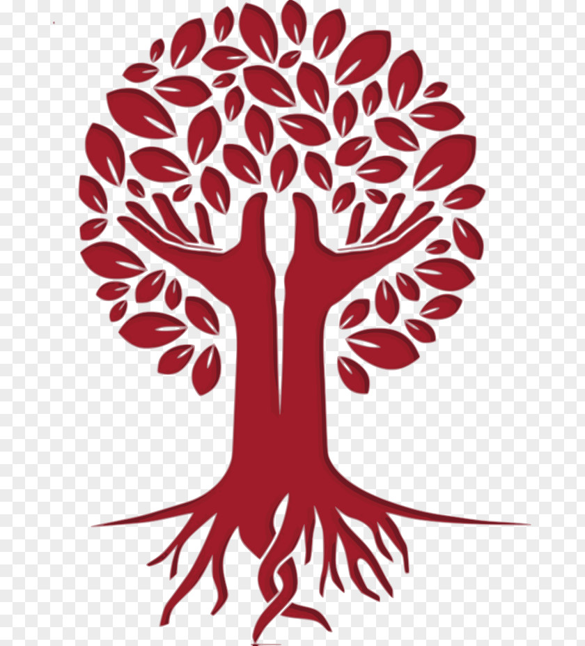Tree Apd Advanced Perfusion Diagnostics Vector Graphics Logo Hand PNG