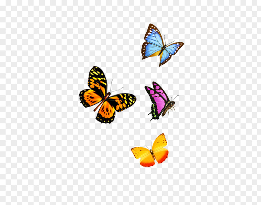 Butterfly IPhone X Telephone PNG