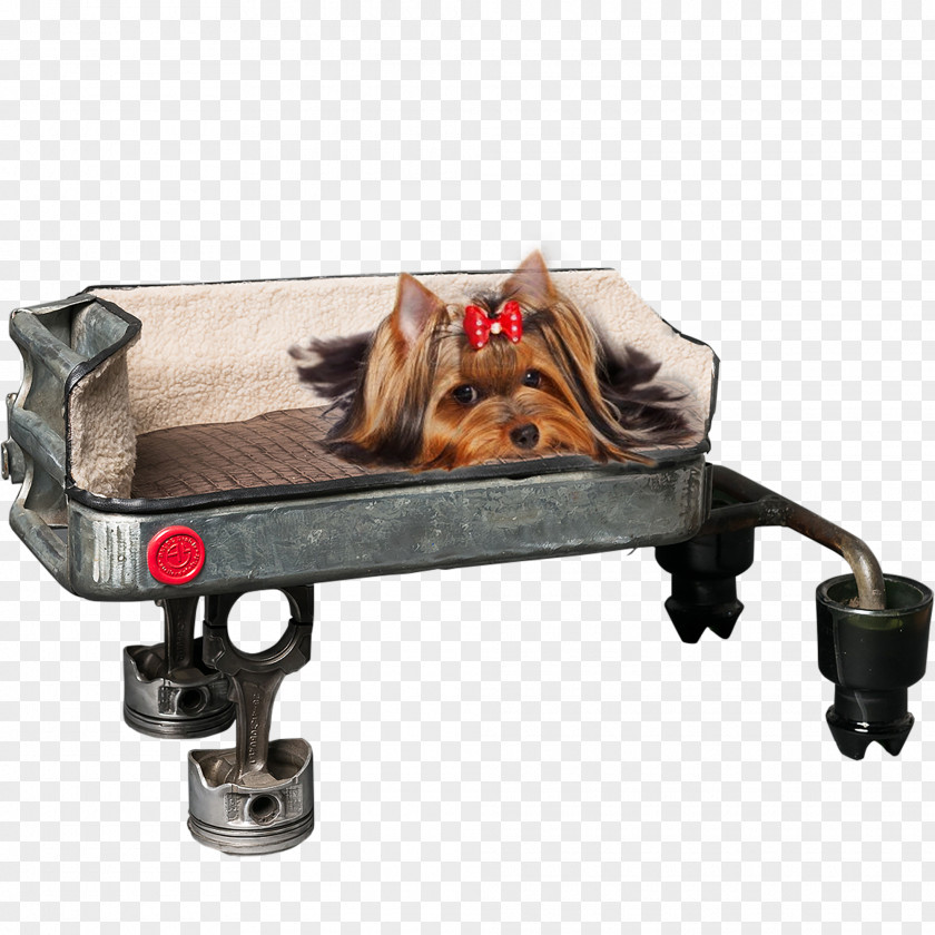 Dog Decoration Car Nissan Skyline GT-R PNG