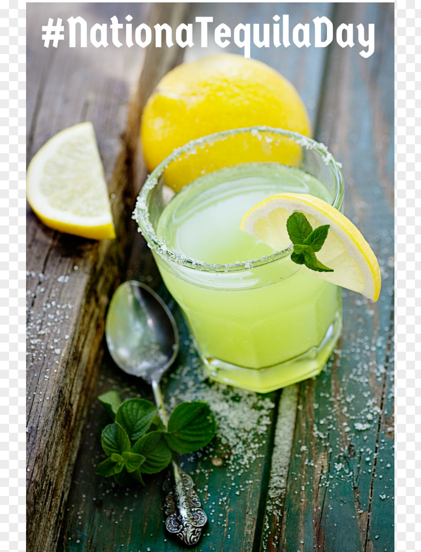 Lemonade Cocktail Margarita Mojito Tequila Drink PNG