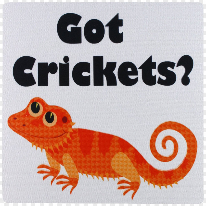 Lizard Mouse Pad Computer Gecko Orange Mousepad Fauna PNG