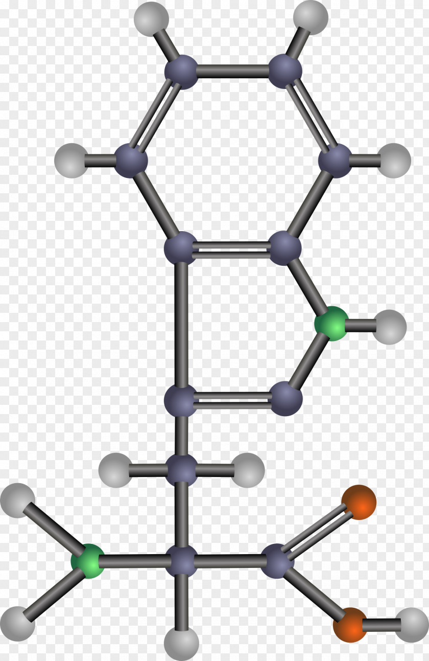 Structure Vector Essential Amino Acid Tyrosine Clip Art PNG