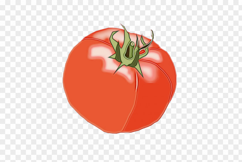 Superfood Vegetarian Food Tomato Cartoon PNG