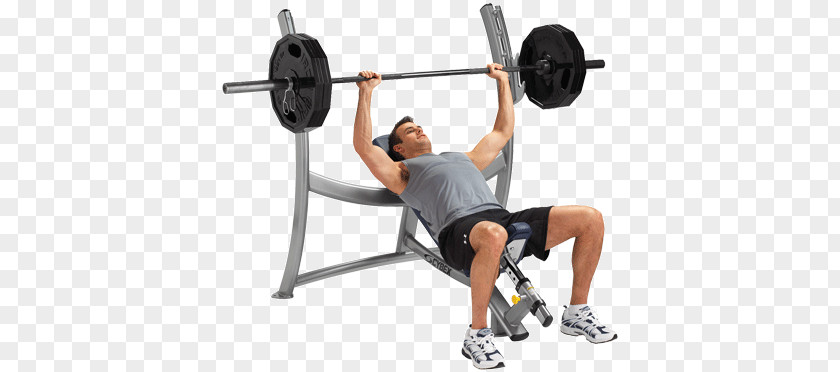 Bench Press Weight Training Exercise Equipment Fitness Centre PNG