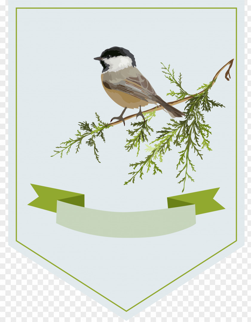 Bird Branches Decorative Labels Clip Art PNG
