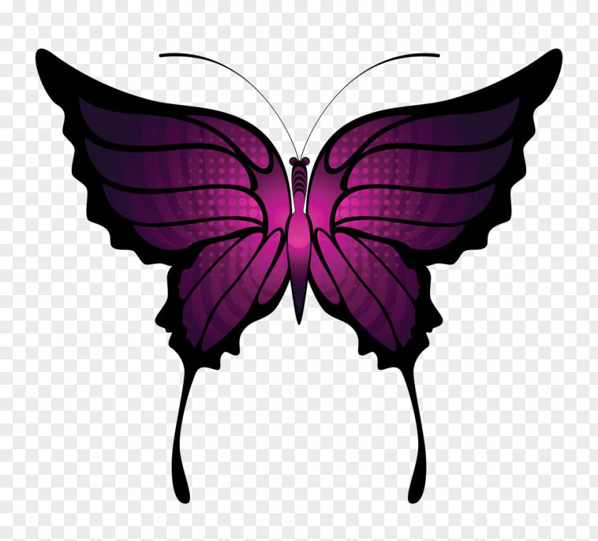 Cartoon Butterfly Material Royalty-free Clip Art PNG