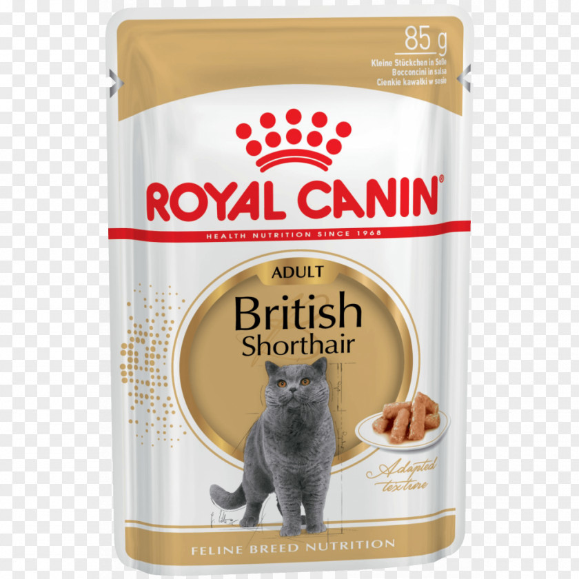 Dog British Shorthair Persian Cat Food Maine Coon PNG