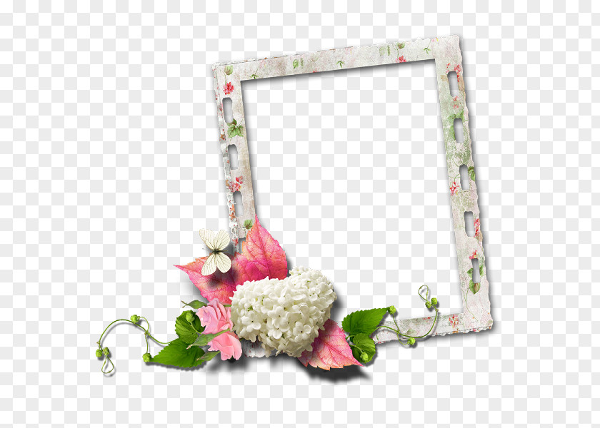 Floral Border Label Flower Painting Picture Frame Photography Film PNG