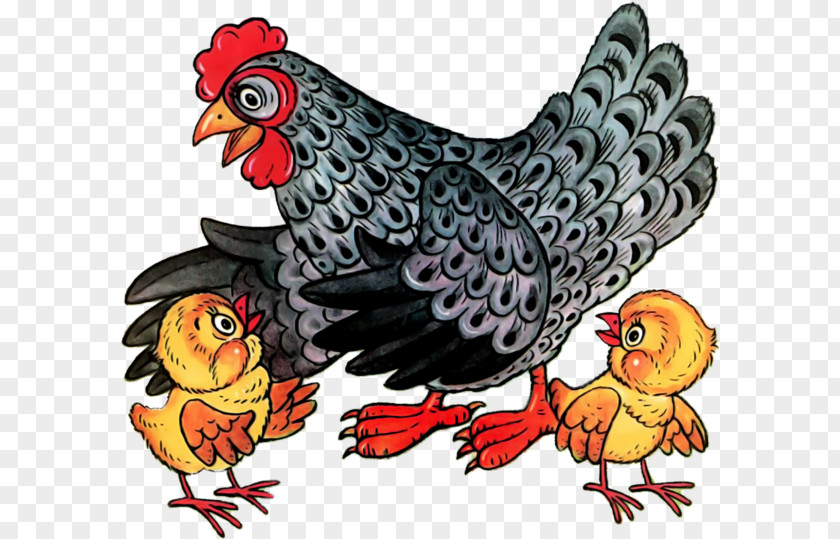 Rooster Leghorn Chicken Galliformes Poultry Clip Art PNG