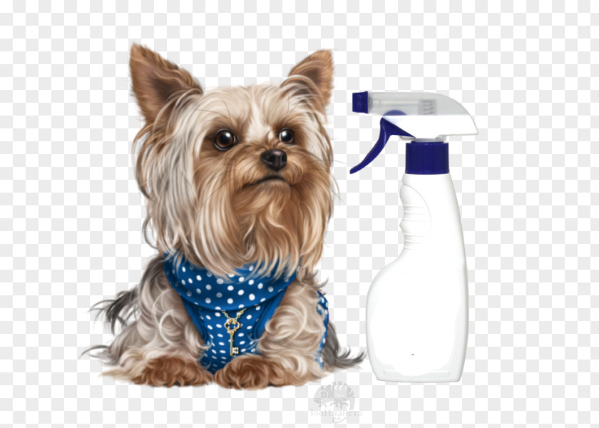 Companion Dog Rare Breed Cartoon PNG