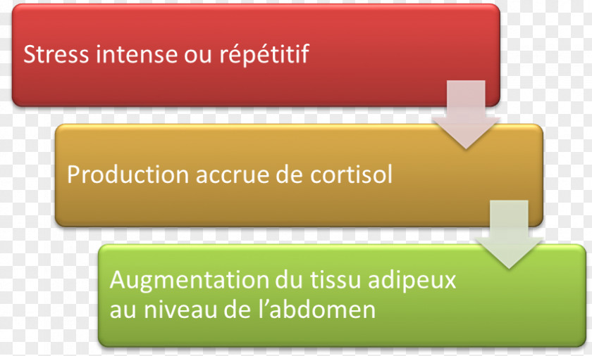 Cortisol Sales Organization Information Business Stock Photography PNG