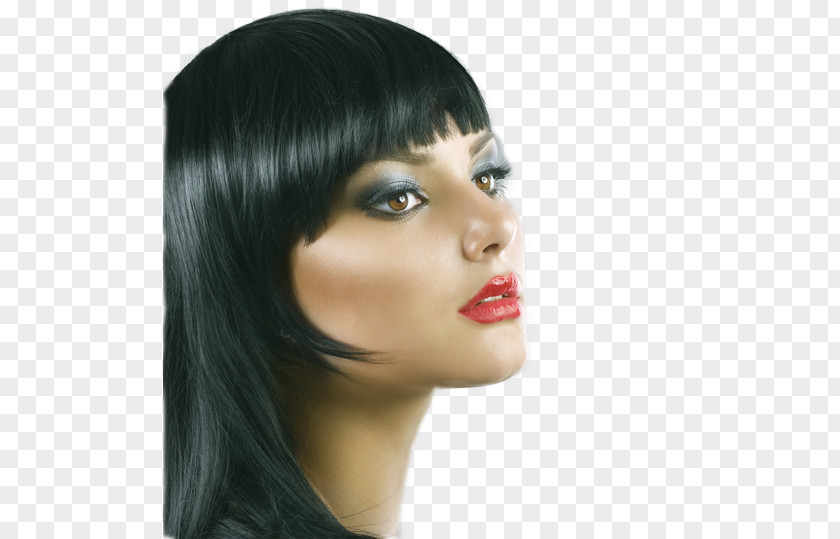 Hair Hairstyle Cosmetologist Beauty Parlour PNG