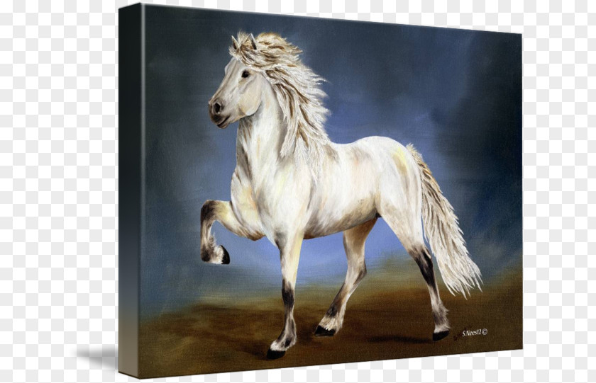 Icelandic Pony Horse Mane Oil Painting Reproduction Art PNG