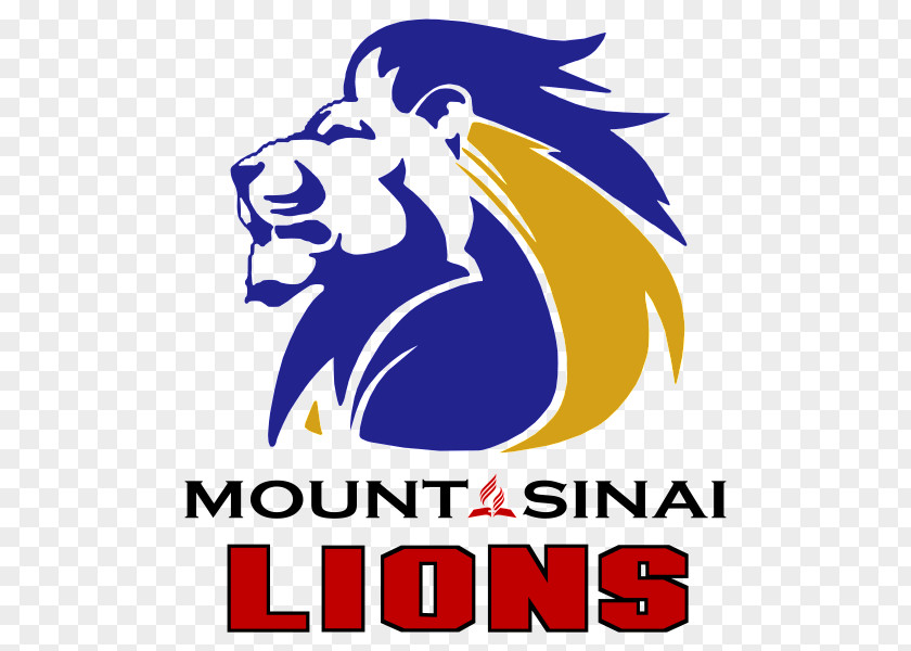 Mount Sinai Golden Lions Super Rugby Brumbies Detroit PNG