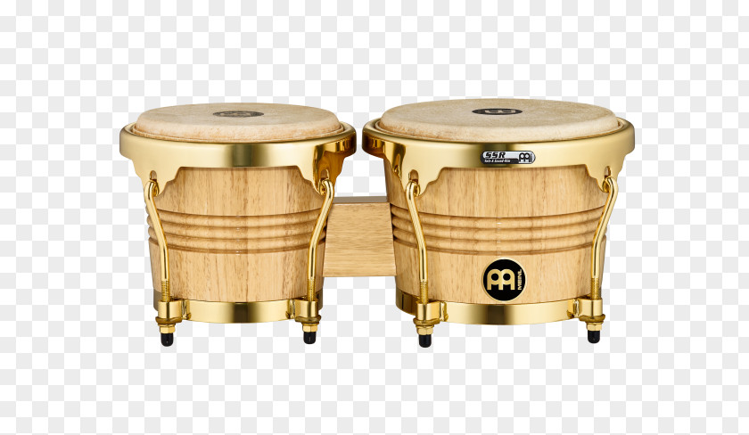 Musical Instruments Bongo Drum Meinl Percussion Conga PNG