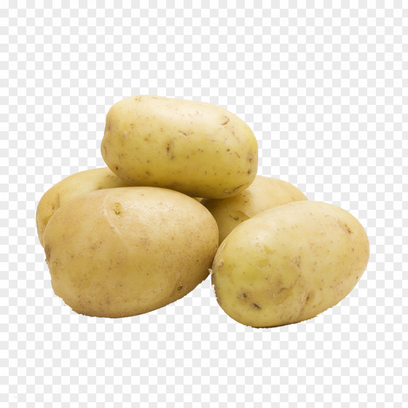Potato Mashed Masher Peeler Vegetable PNG