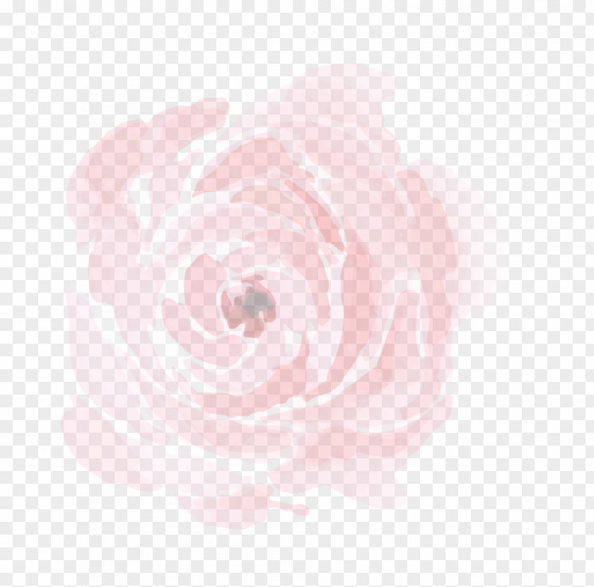 Romantic Flower Centifolia Roses Garden Pink Peony Petal PNG