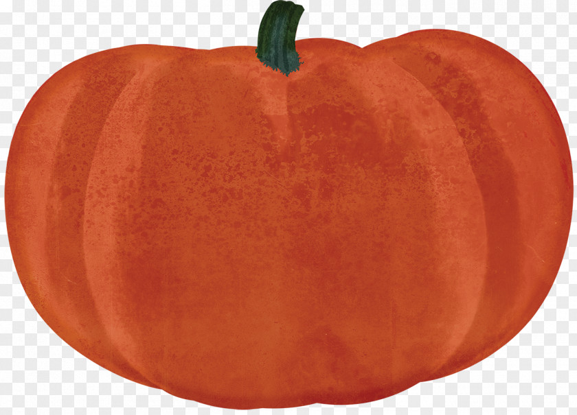 Spice Clipart Pumpkin Calabaza Winter Squash Cucurbita Apple PNG