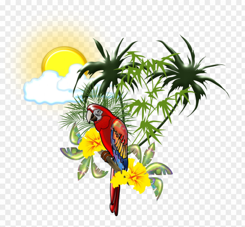 Tropical Bird Scarlet Macaw True Parrot Beak PNG