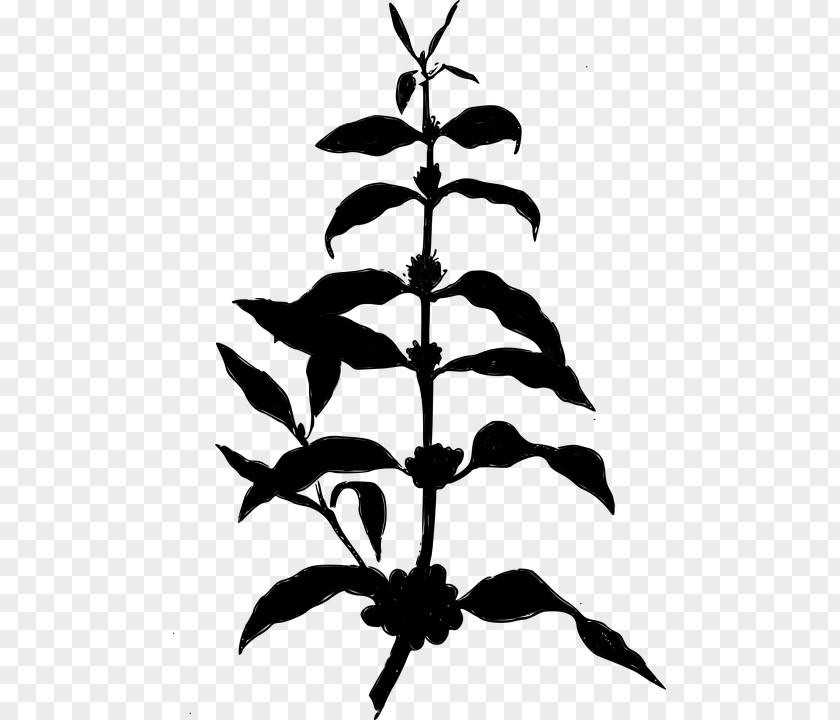 Twig Plant Stem Leaf Clip Art Silhouette PNG