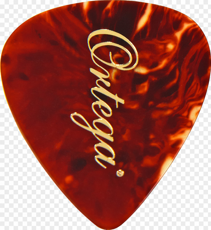 Amancio Ortega Guitar Picks Bass Acoustic String Instruments PNG