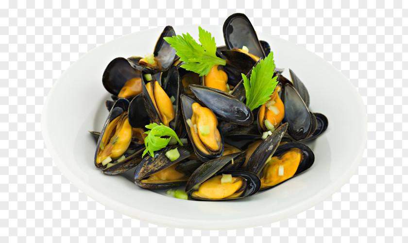 Blue Mussel Clam Oyster Seafood PNG