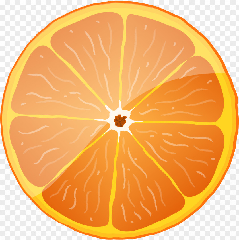 Enough Refreshing Blood Orange Royalty-free Clip Art PNG