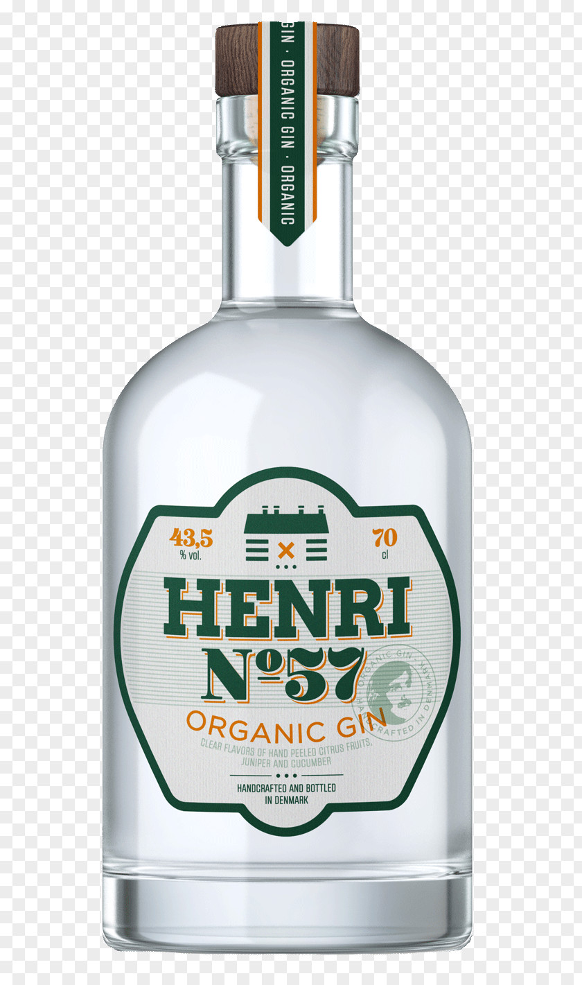 Gin Fizz Liqueur Distillation Distilled Beverage Vodka PNG