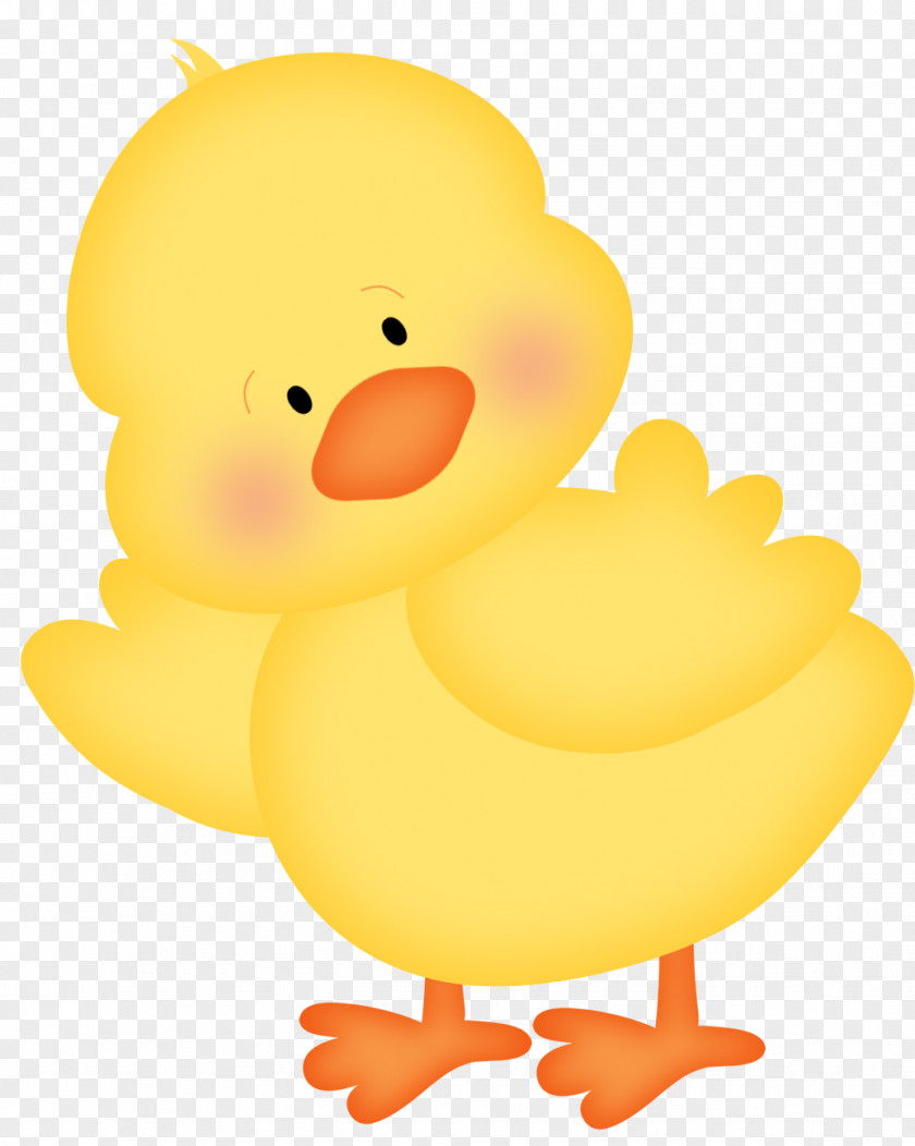 Happy Easter Chicken Duck Clip Art PNG