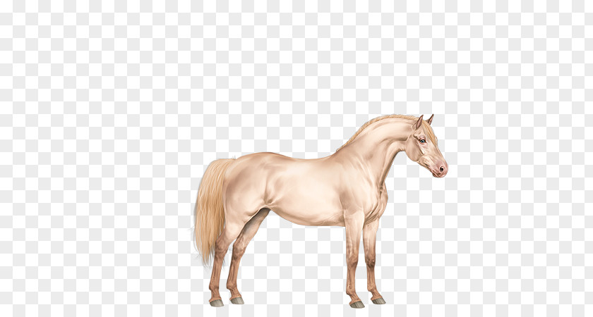 Pink Horses Mustang Foal Stallion Mare Colt PNG