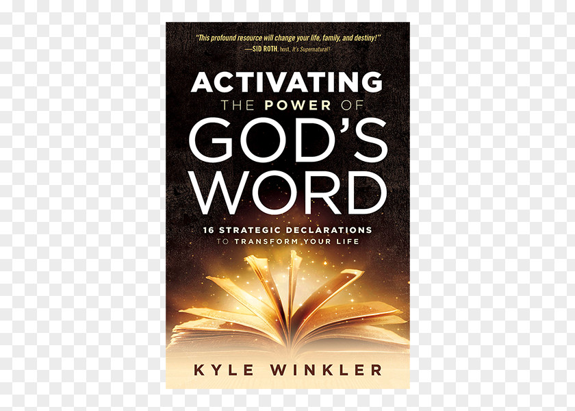 Spiritual Warfare Activating The Power Of God's Word: 16 Strategic Declarations To Transform Your Life Bible New International Version Silence Satan: Shutting Down Enemy's Attacks, Threats, Lies, And Accusations PNG