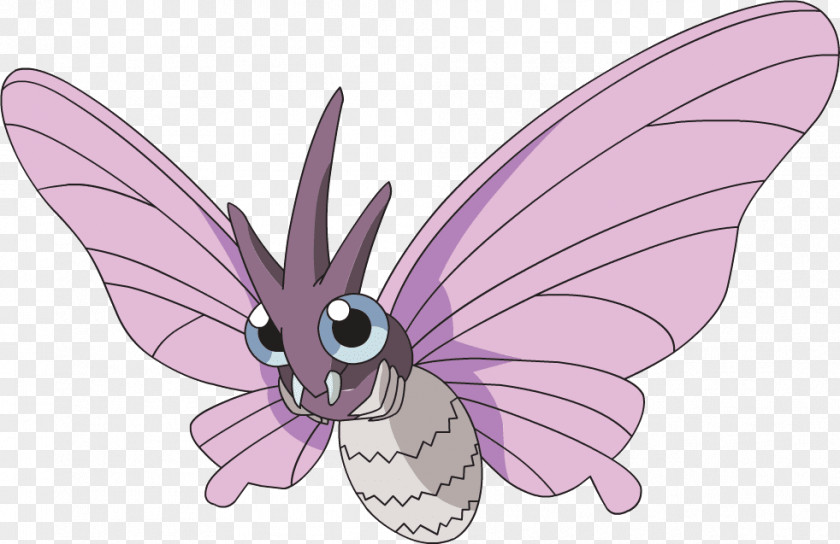 Venezuelan Poodle Moth Pokémon X And Y Venomoth Venonat Groudon PNG