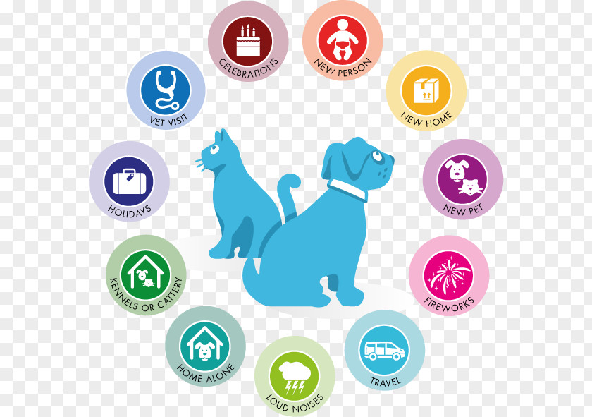 Dog Dog–cat Relationship Veterinarian Pet PNG