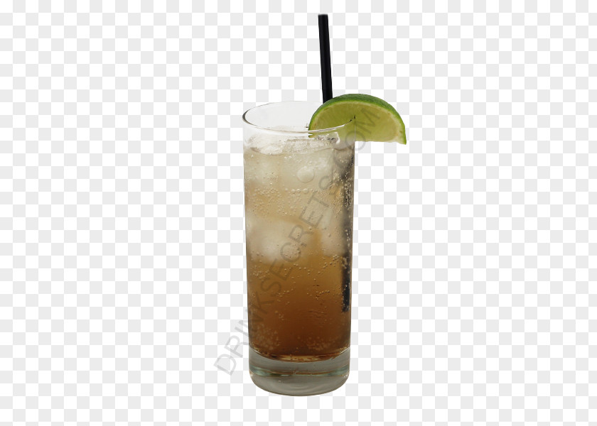 Drink Rickey Highball Rum And Coke Sea Breeze Long Island Iced Tea PNG