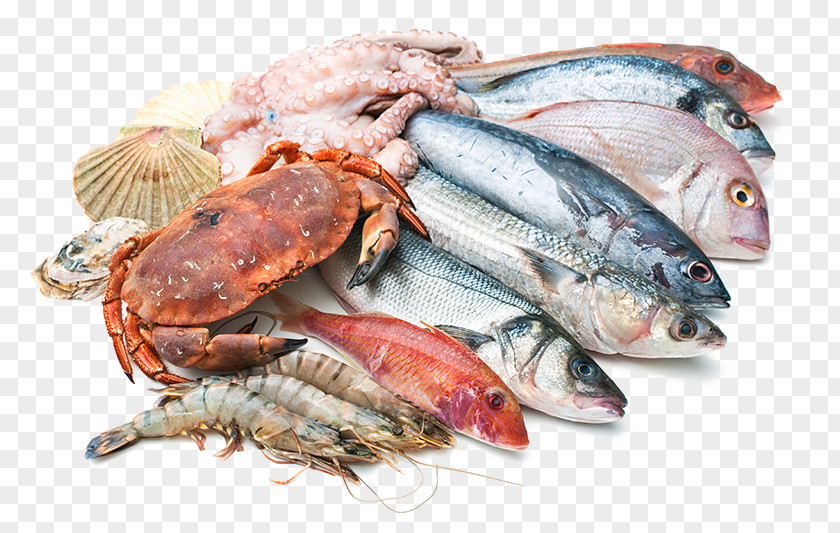 Fish Seafood Market Restaurant PNG
