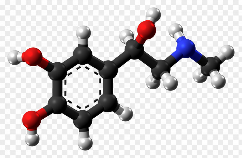 Molecule Benzocaine Ball-and-stick Model Pharmaceutical Drug Chemical Compound PNG