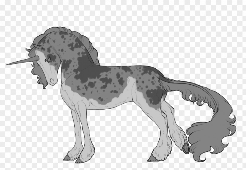 Mustang Appaloosa Dog Breed Cat Pony PNG
