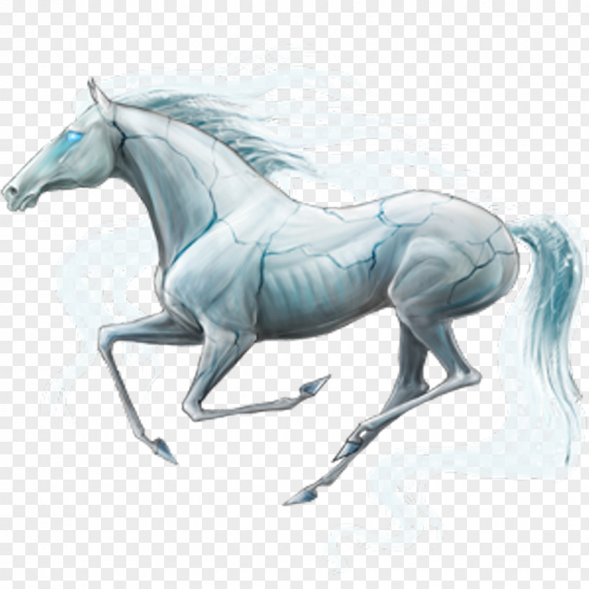 Mustang Howrse Arabian Horse Thoroughbred Mane PNG