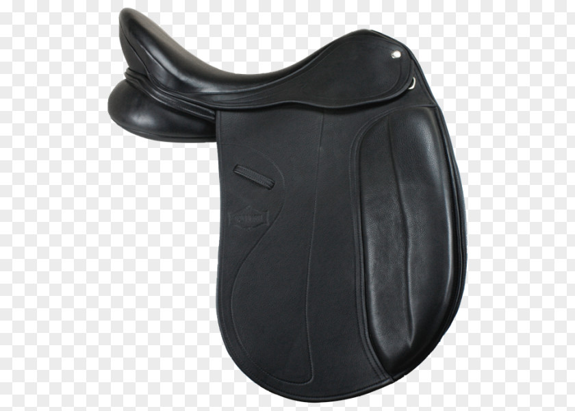 The Horse Whisperer Icelandic Saddle Equestrian Tack Dressage PNG