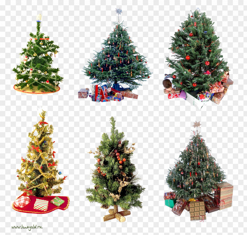 Christmas Tree New Year Ornament PNG